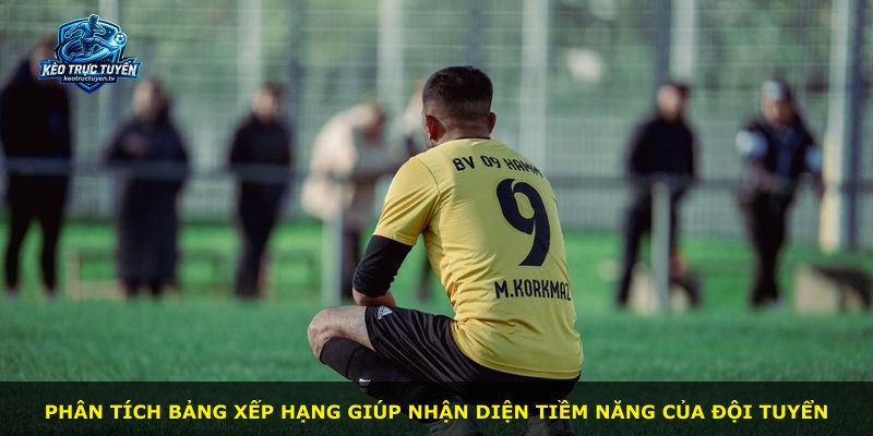 Phân tích bảng xếp hạng giúp nhận diện tiềm năng của đội tuyển