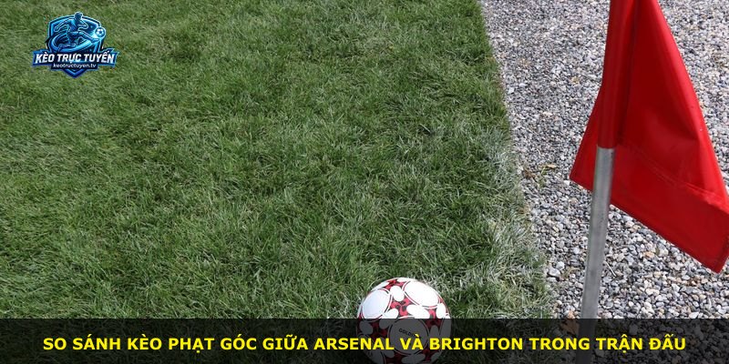 So sánh kèo phạt góc giữa Arsenal và Brighton trong trận đấu