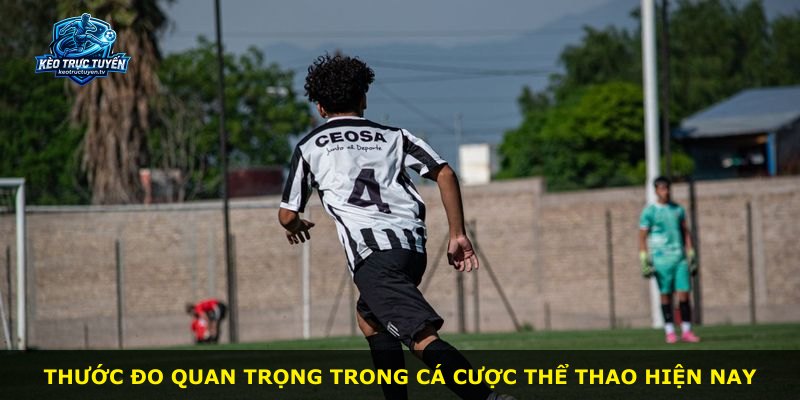 Thước đo quan trọng trong cá cược thể thao hiện nay