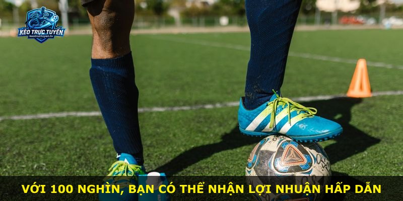 Với 100 nghìn, bạn có thể nhận lợi nhuận hấp dẫn
