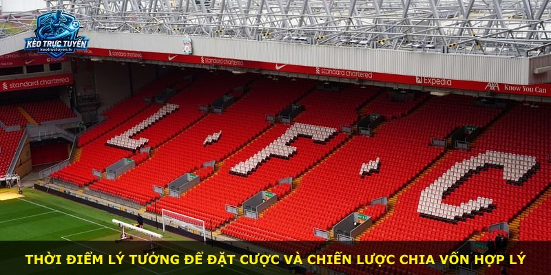 Thời điểm lý tưởng để đặt cược và chiến lược chia vốn hợp lý