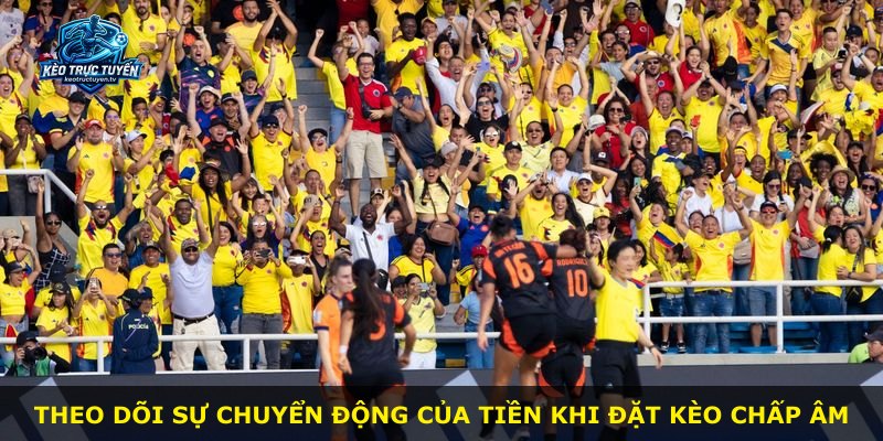 Theo dõi sự chuyển động của tiền khi đặt kèo chấp âm