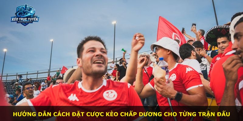 Hướng dẫn cách đặt cược Kèo Chấp Dương cho từng trận đấu
