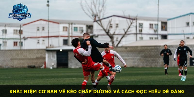 Khái niệm cơ bản về Kèo Chấp Dương và cách đọc hiểu dễ dàng