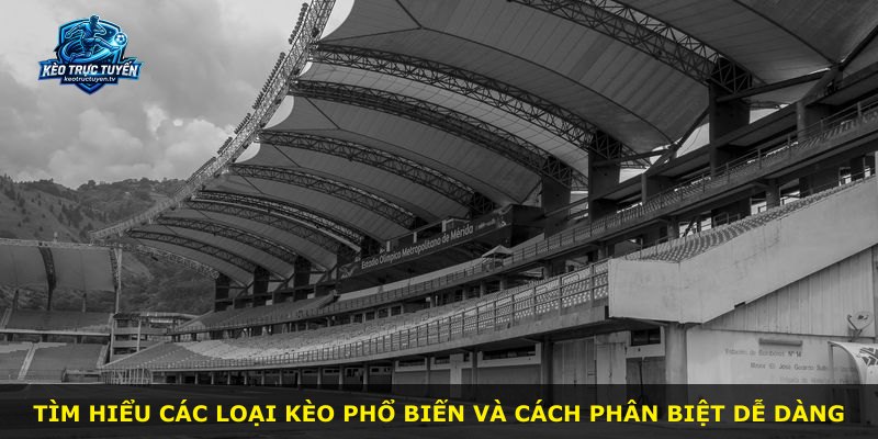 Tìm hiểu các loại kèo phổ biến và cách phân biệt dễ dàng