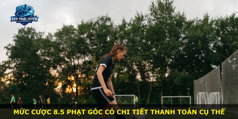 Mức cược 8.5 phạt góc có chi tiết thanh toán cụ thể