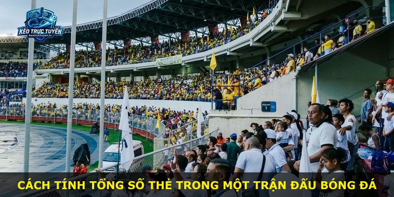 Cách tính tổng số thẻ trong một trận đấu bóng đá