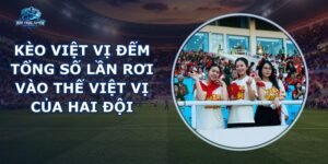 Kèo Việt Vị