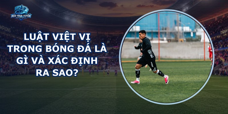 Luật Việt Vị