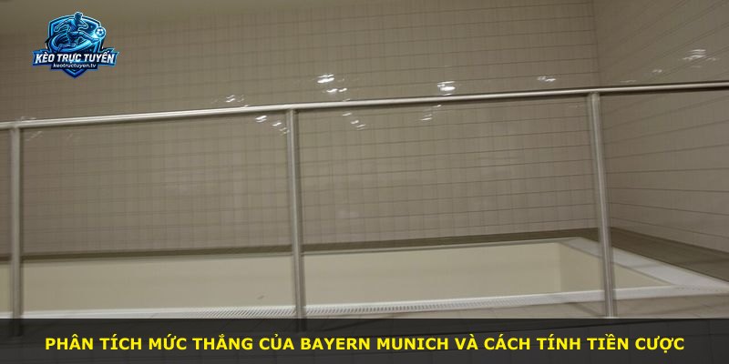 Phân tích mức thắng của Bayern Munich và cách tính tiền cược