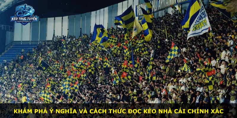 Khám phá ý nghĩa và cách thức đọc kèo nhà cái chính xác