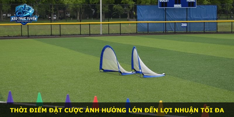 Thời điểm đặt cược ảnh hưởng lớn đến lợi nhuận tối đa