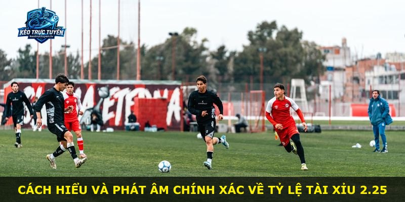 Cách hiểu và phát âm chính xác về tỷ lệ Tài Xỉu 2.25