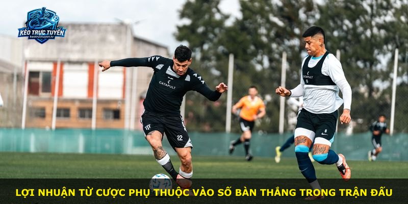Lợi nhuận từ cược phụ thuộc vào số bàn thắng trong trận đấu