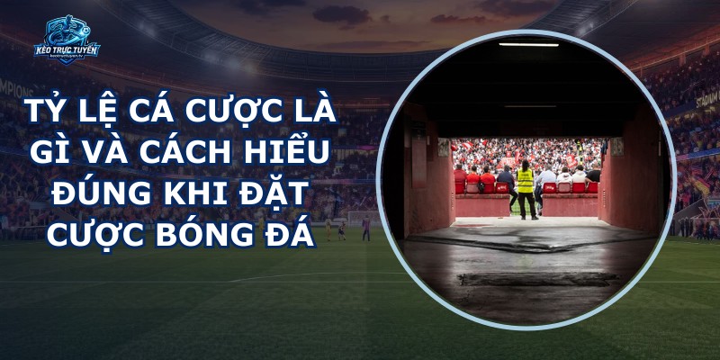 Tỷ Lệ Cá Cược