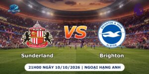 Sunderland vs Brighton